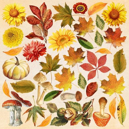 Bright Autumn Scrapbook Paper 8x8, Double Sided Autumn Paper, Fall Botanical Junk Journal Card Making Supplies