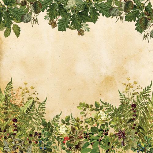 Summer Botanical Story Scrapbook Paper 8x8, Double Sided Vintage Botanical Paper, Junk Journal Craft Supplies