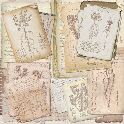 Summer Botanical Story Scrapbook Paper 8x8, Double Sided Vintage Botanical Paper, Junk Journal Craft Supplies