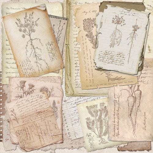 Summer Botanical Story Scrapbook Paper 8x8, Double Sided Vintage Botanical Paper, Junk Journal Craft Supplies