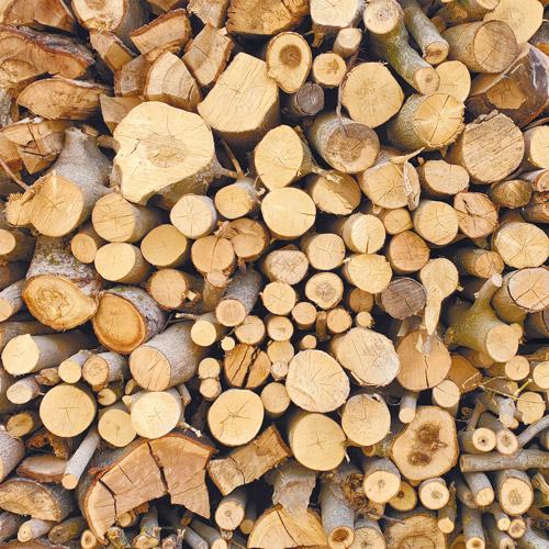 Country Winter Scrapbook Paper 8x8, Winter Woodland Paper, 10 Double Sided Sheets, Christmas Junk Journal & Card Making Supplies