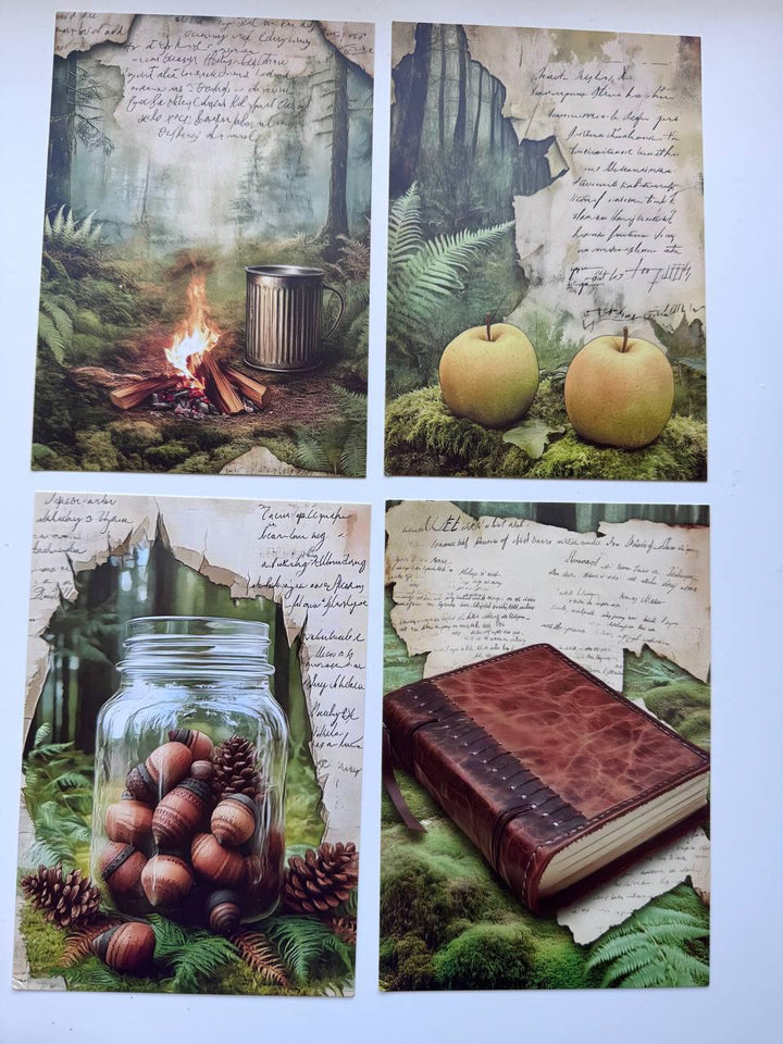 Set of 20 Woodland Forest Postcards 14.5 x 10 cm, Mushroom Botanical Cards, Vintage Nature Ephemera for Junk Journal Scrapbooking