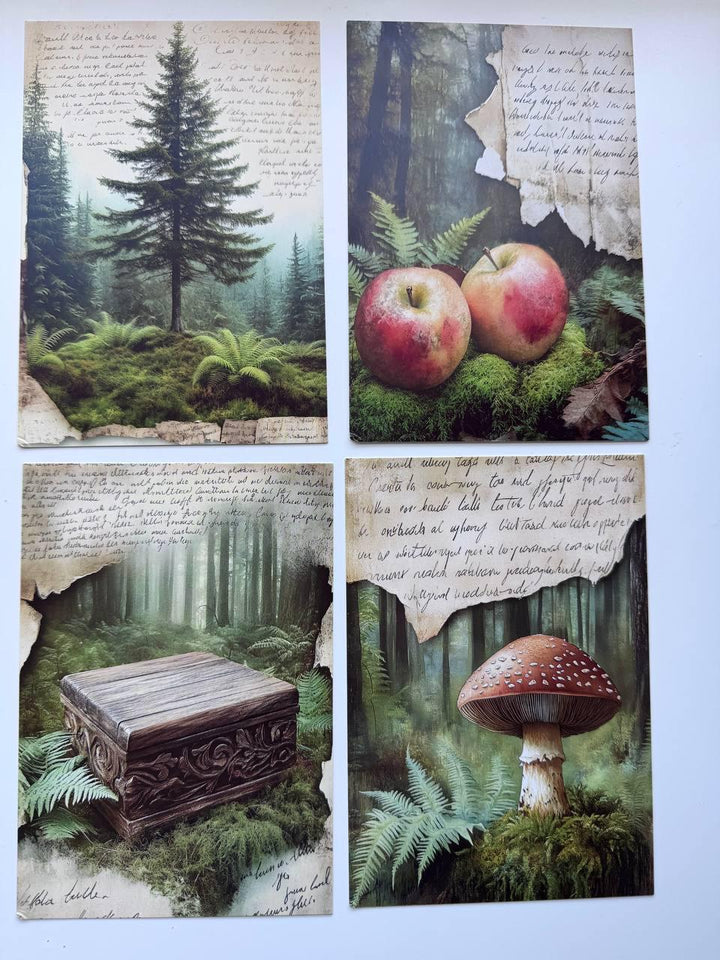 Set of 20 Woodland Forest Postcards 14.5 x 10 cm, Mushroom Botanical Cards, Vintage Nature Ephemera for Junk Journal Scrapbooking