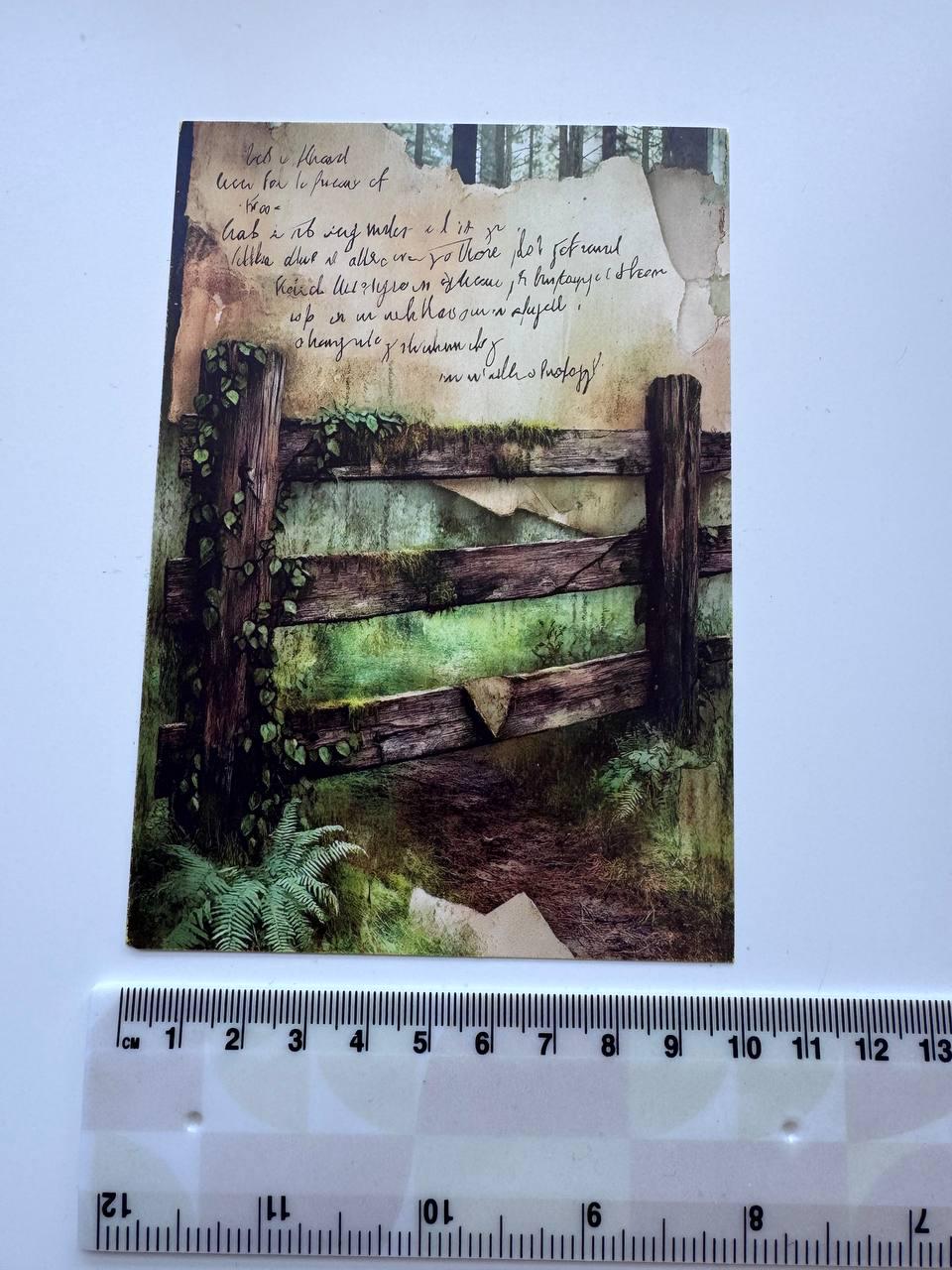 Set of 20 Woodland Forest Postcards 14.5 x 10 cm, Mushroom Botanical Cards, Vintage Nature Ephemera for Junk Journal Scrapbooking