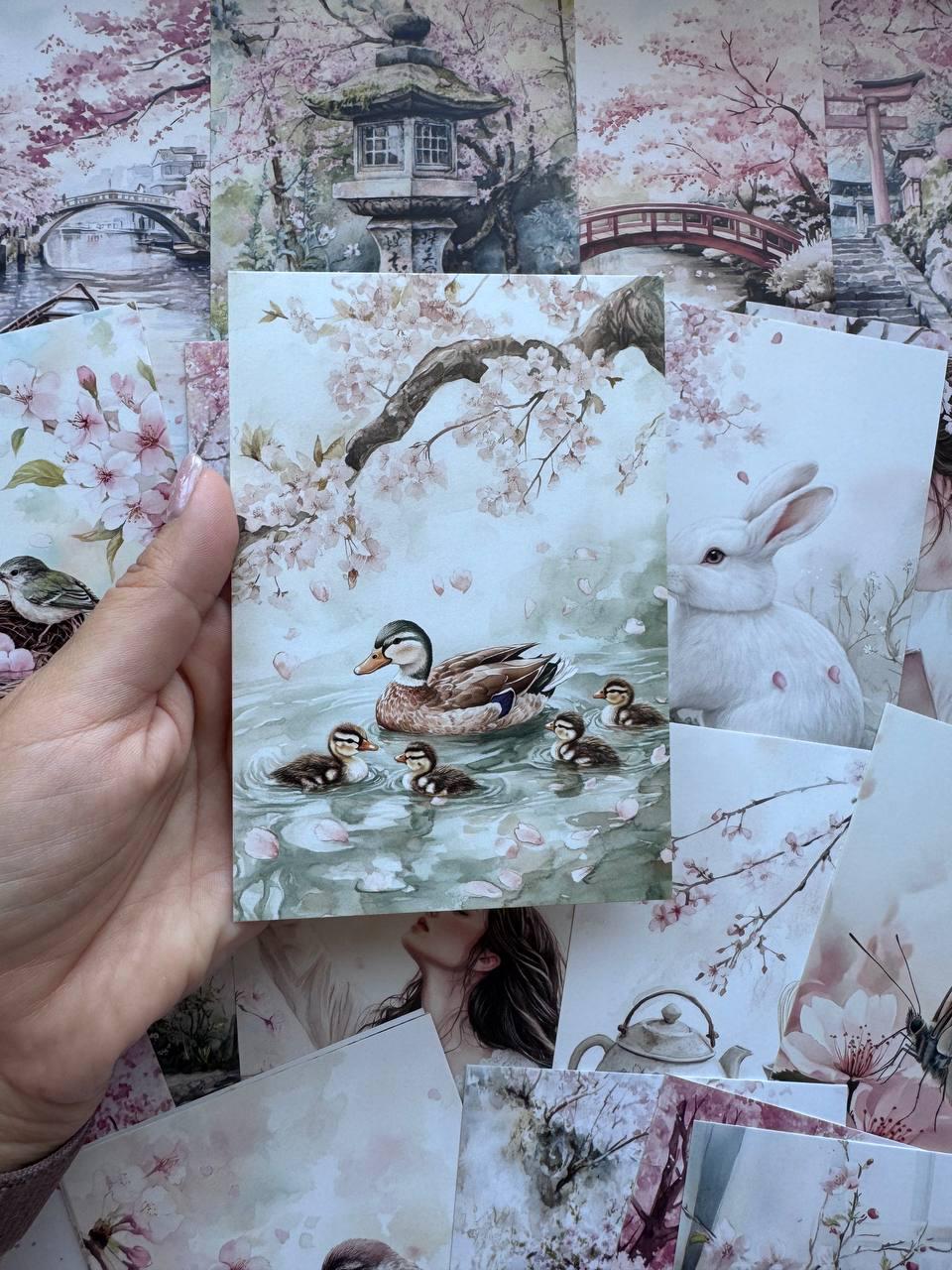 Set of 20 Japanese Garden Postcards 14.5 x 10 cm, Cherry Blossom Cards, Sakura Nature Ephemera, Junk Journal Scrapbooking Supplies