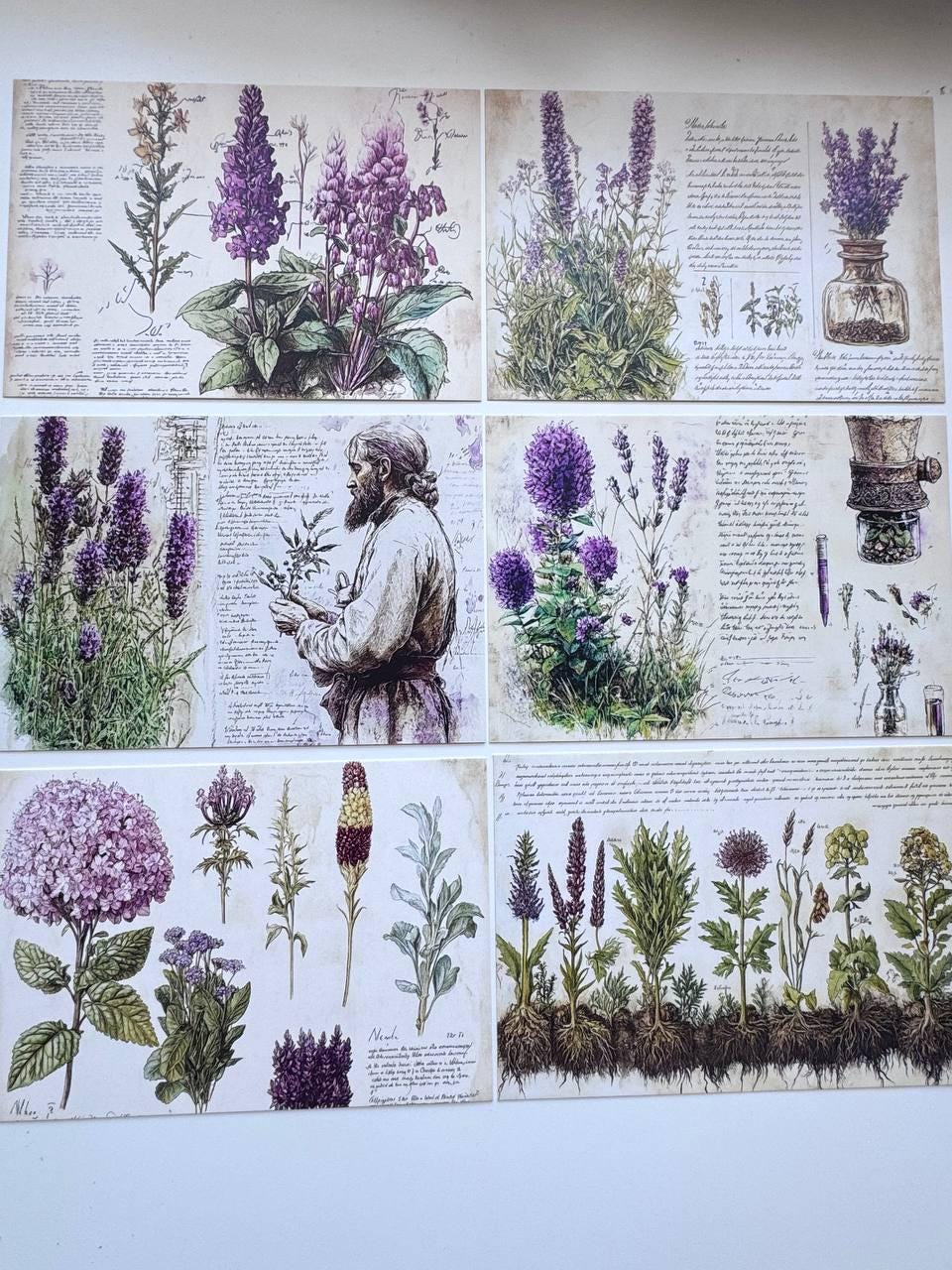 Set of 20 Vintage Botanical Postcards 14.5 x 10 cm, Herb & Lavender Cards, Apothecary Ephemera, Junk Journal Scrapbooking Supplies