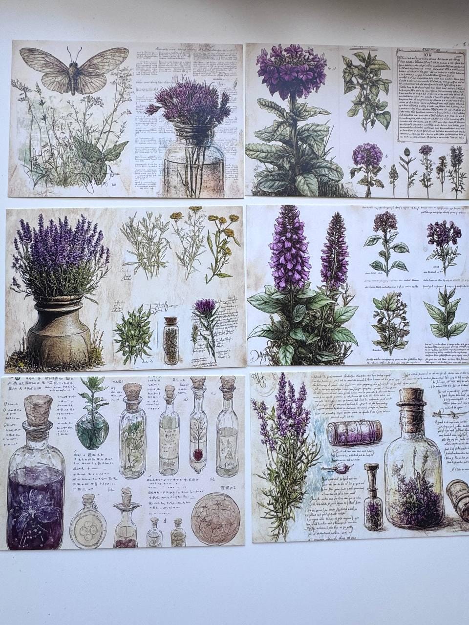 Set of 20 Vintage Botanical Postcards 14.5 x 10 cm, Herb & Lavender Cards, Apothecary Ephemera, Junk Journal Scrapbooking Supplies