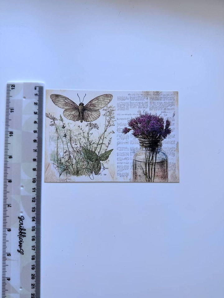 Set of 20 Vintage Botanical Postcards 14.5 x 10 cm, Herb & Lavender Cards, Apothecary Ephemera, Junk Journal Scrapbooking Supplies