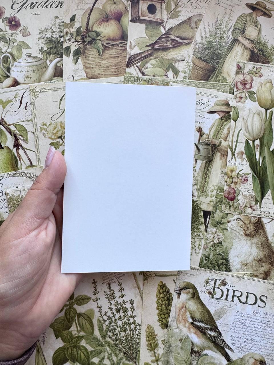 Set of 20 Vintage Garden Postcards 14.5 x 10 cm, Botanical Birds Cat Flowers, Cottagecore Ephemera, Junk Journal Scrapbooking Cards