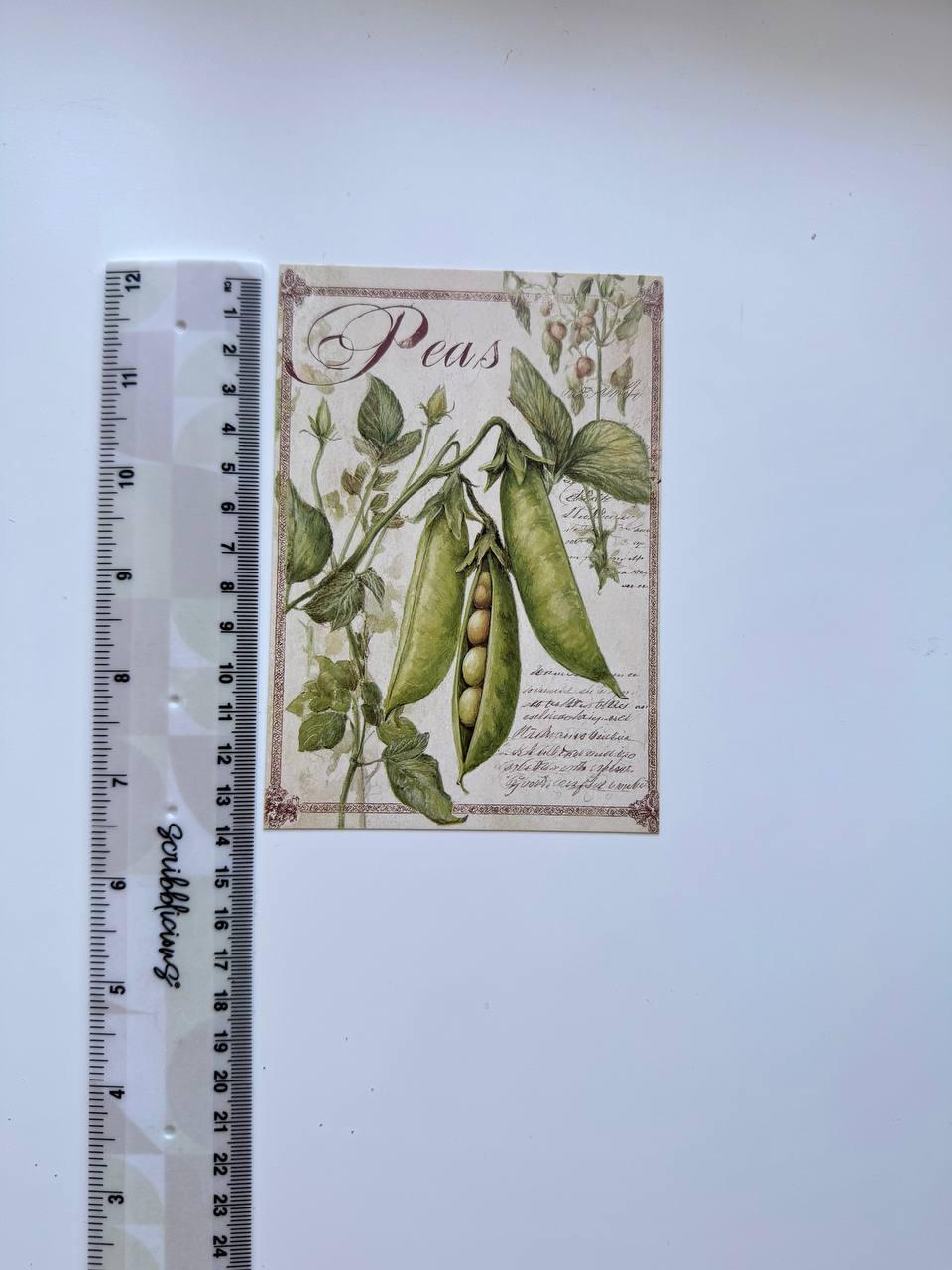 Set of 20 Vintage Garden Postcards 14.5 x 10 cm, Botanical Birds Cat Flowers, Cottagecore Ephemera, Junk Journal Scrapbooking Cards