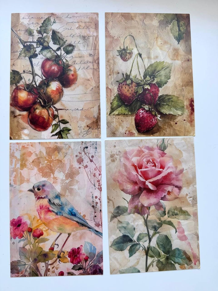 Set of 20 Garden Postcards 14.5 x 10 cm, Watercolour Fruit Vegetables Birds, Cottagecore Ephemera, Junk Journal Scrapbooking Cards