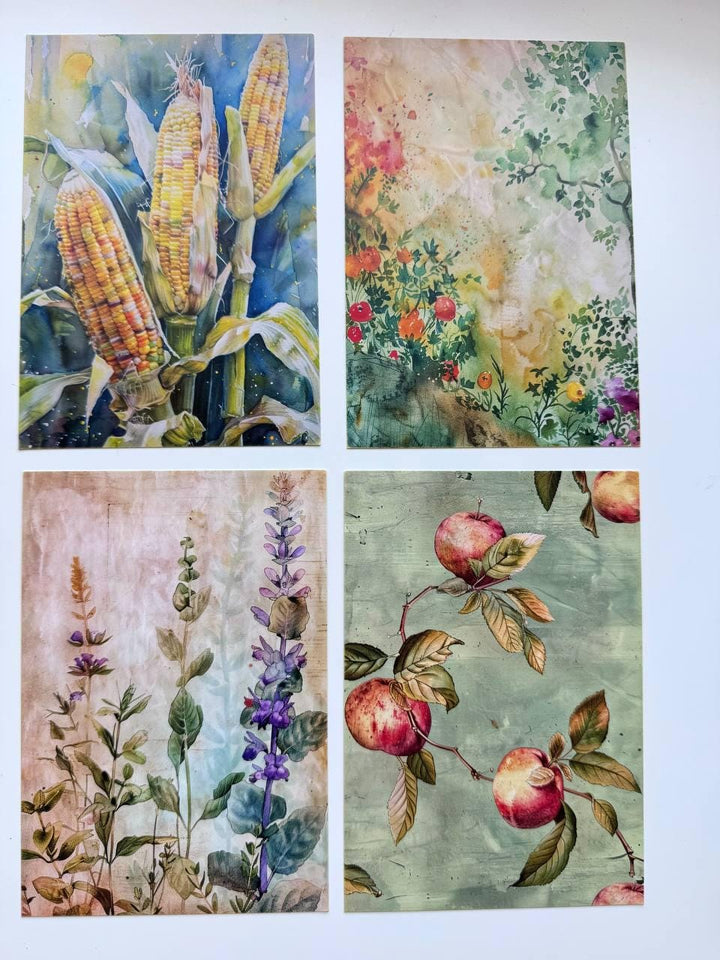 Set of 20 Garden Postcards 14.5 x 10 cm, Watercolour Fruit Vegetables Birds, Cottagecore Ephemera, Junk Journal Scrapbooking Cards