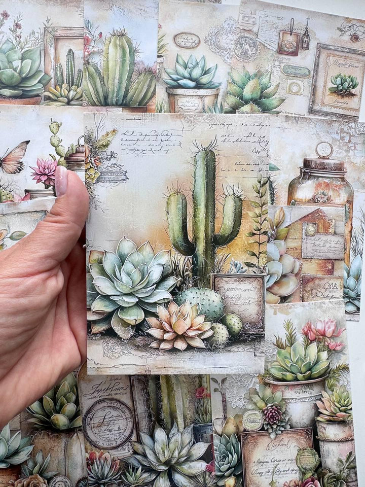 Set of 20 Succulent & Cactus Postcards, Vintage Botanical Cards, Junk Journal Ephemera, Scrapbooking Supplies, Cottagecore Paper Cards
