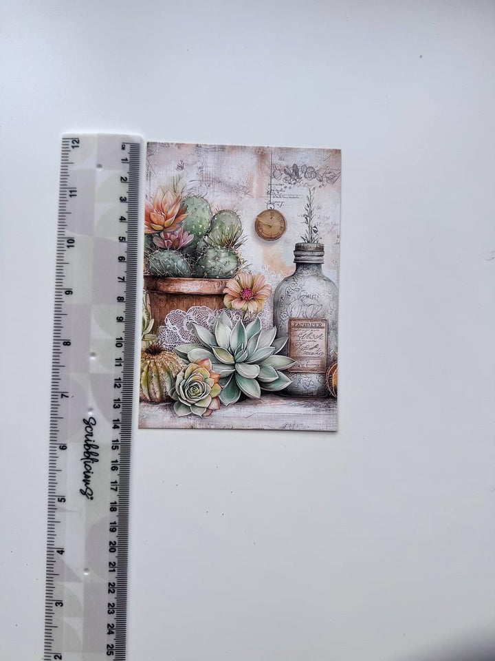 Set of 20 Succulent & Cactus Postcards, Vintage Botanical Cards, Junk Journal Ephemera, Scrapbooking Supplies, Cottagecore Paper Cards