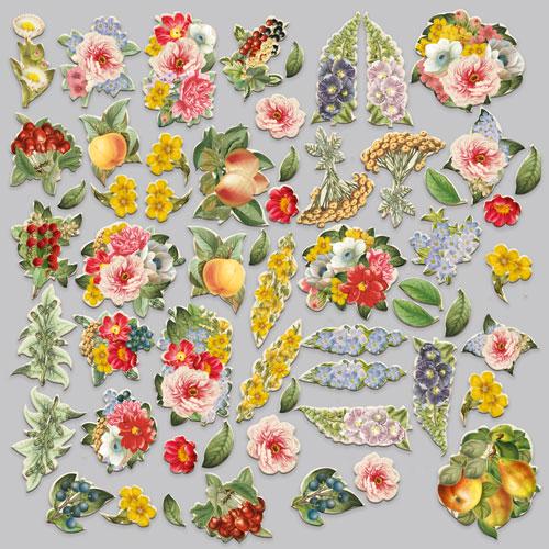 58 Summer Botanical Die Cuts, Floral & Fruit Ephemera, Vintage Flowers, NOT Stickers, No Adhesive, Junk Journal Supplies