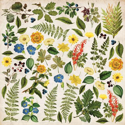 Summer Botanical Story Scrapbook Paper 8x8, Double Sided Vintage Botanical Paper, Junk Journal Craft Supplies