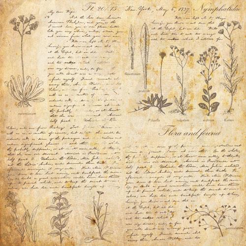 Summer Botanical Story Scrapbook Paper 8x8, Double Sided Vintage Botanical Paper, Junk Journal Craft Supplies