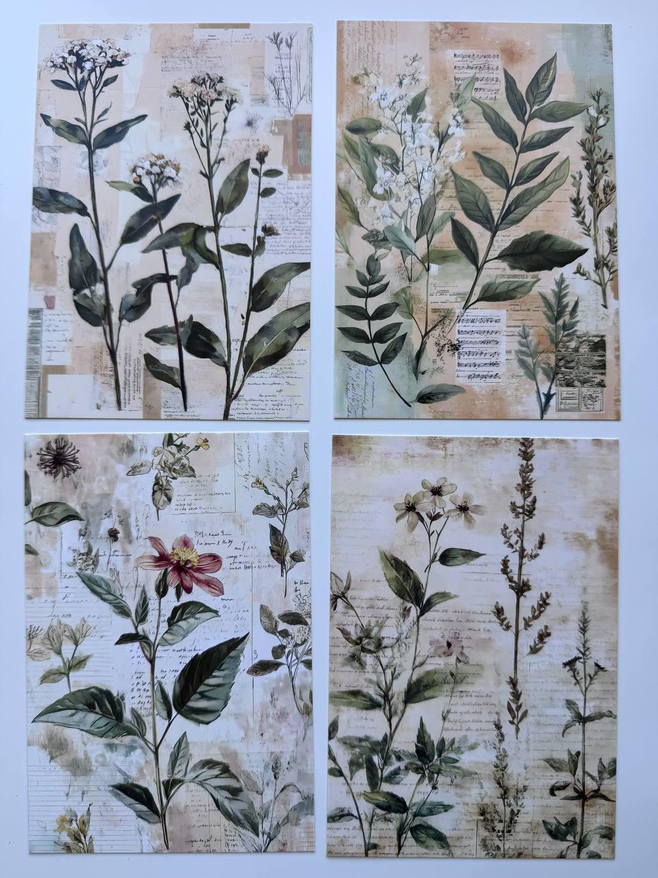 Set of 20 Vintage Botanical Postcards 14.5 x 10 cm, Wildflower Herb Cards, Botanical Ephemera, Junk Journal Scrapbooking Supplies
