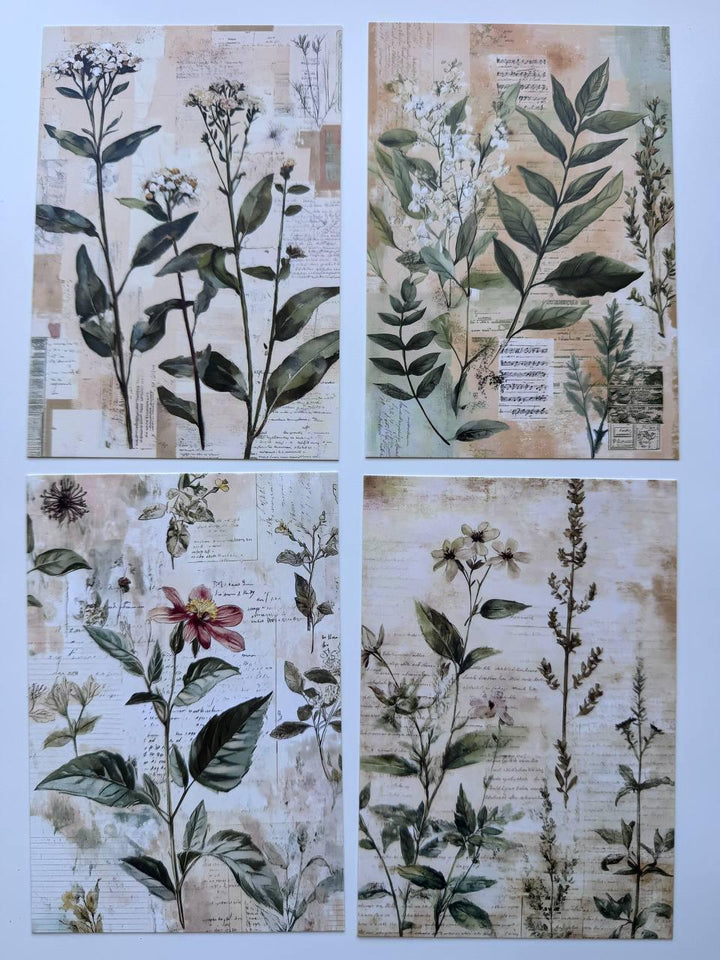 Set of 20 Vintage Botanical Postcards 14.5 x 10 cm, Wildflower Herb Cards, Botanical Ephemera, Junk Journal Scrapbooking Supplies