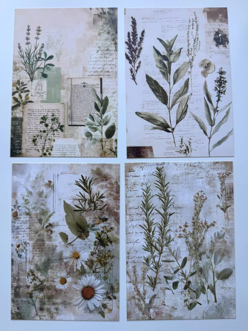 Set of 20 Vintage Botanical Postcards 14.5 x 10 cm, Wildflower Herb Cards, Botanical Ephemera, Junk Journal Scrapbooking Supplies