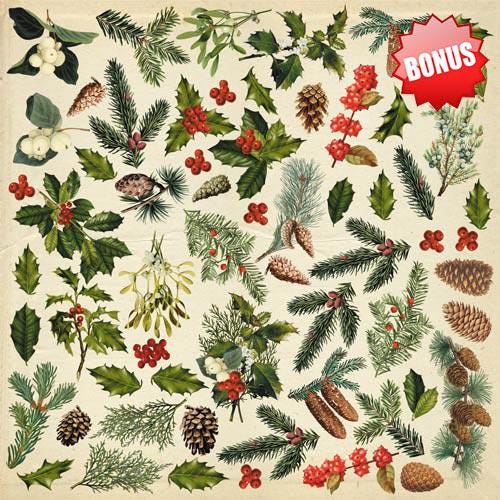 Winter Botanical Diary Scrapbook Paper 8x8, Double Sided Christmas Paper, Junk Journal Card Making Craft Supplies