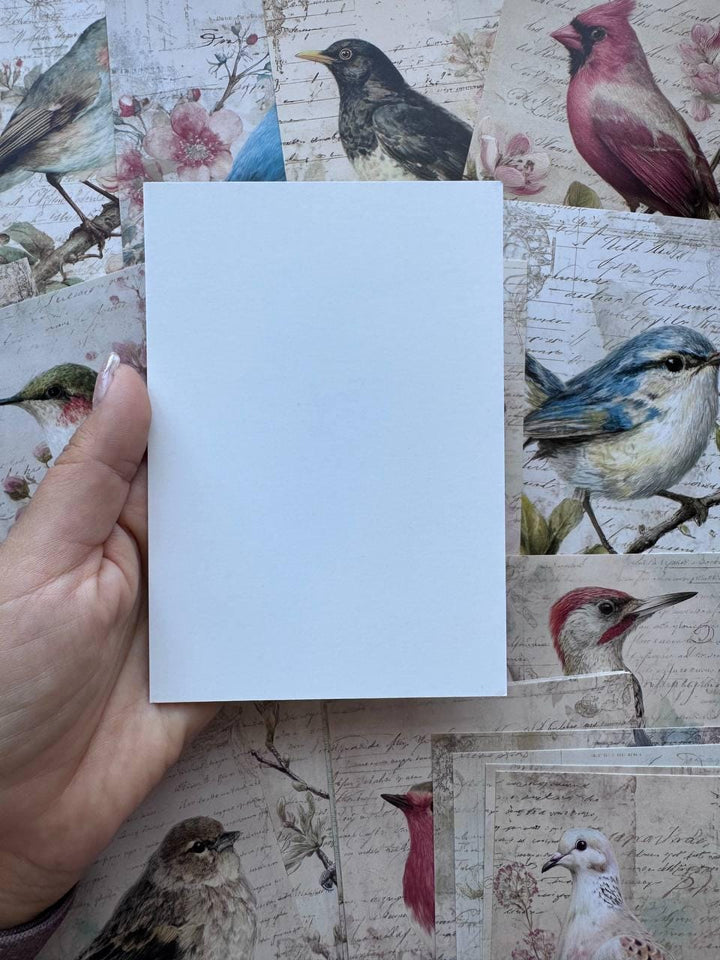 Set of 20 Vintage Bird Postcards 14.5 x 10 cm, Floral Bird Art Cards, Botanical Ephemera, Junk Journal Scrapbooking Supplies