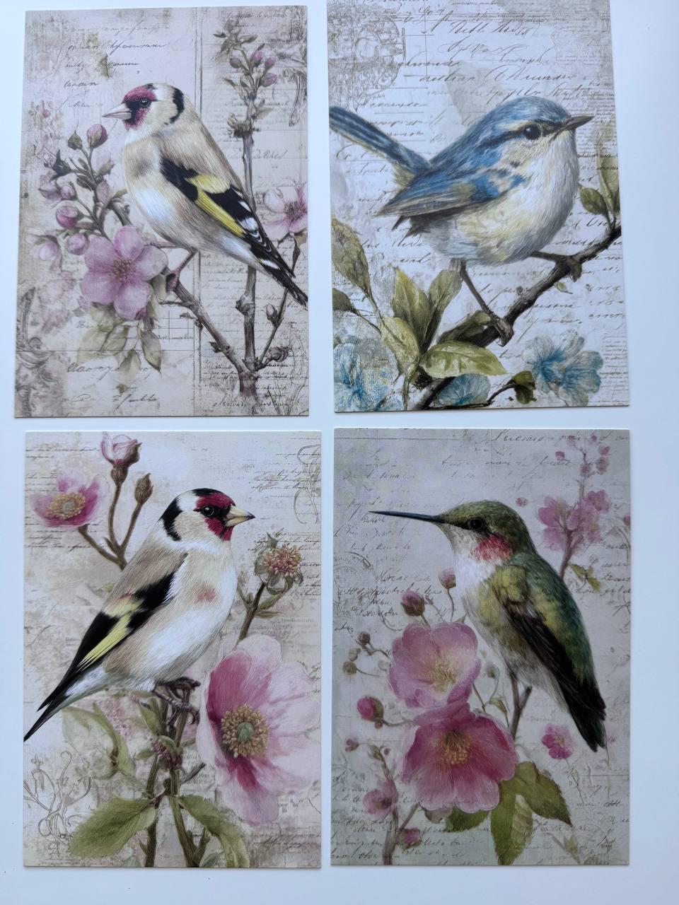 Set of 20 Vintage Bird Postcards 14.5 x 10 cm, Floral Bird Art Cards, Botanical Ephemera, Junk Journal Scrapbooking Supplies