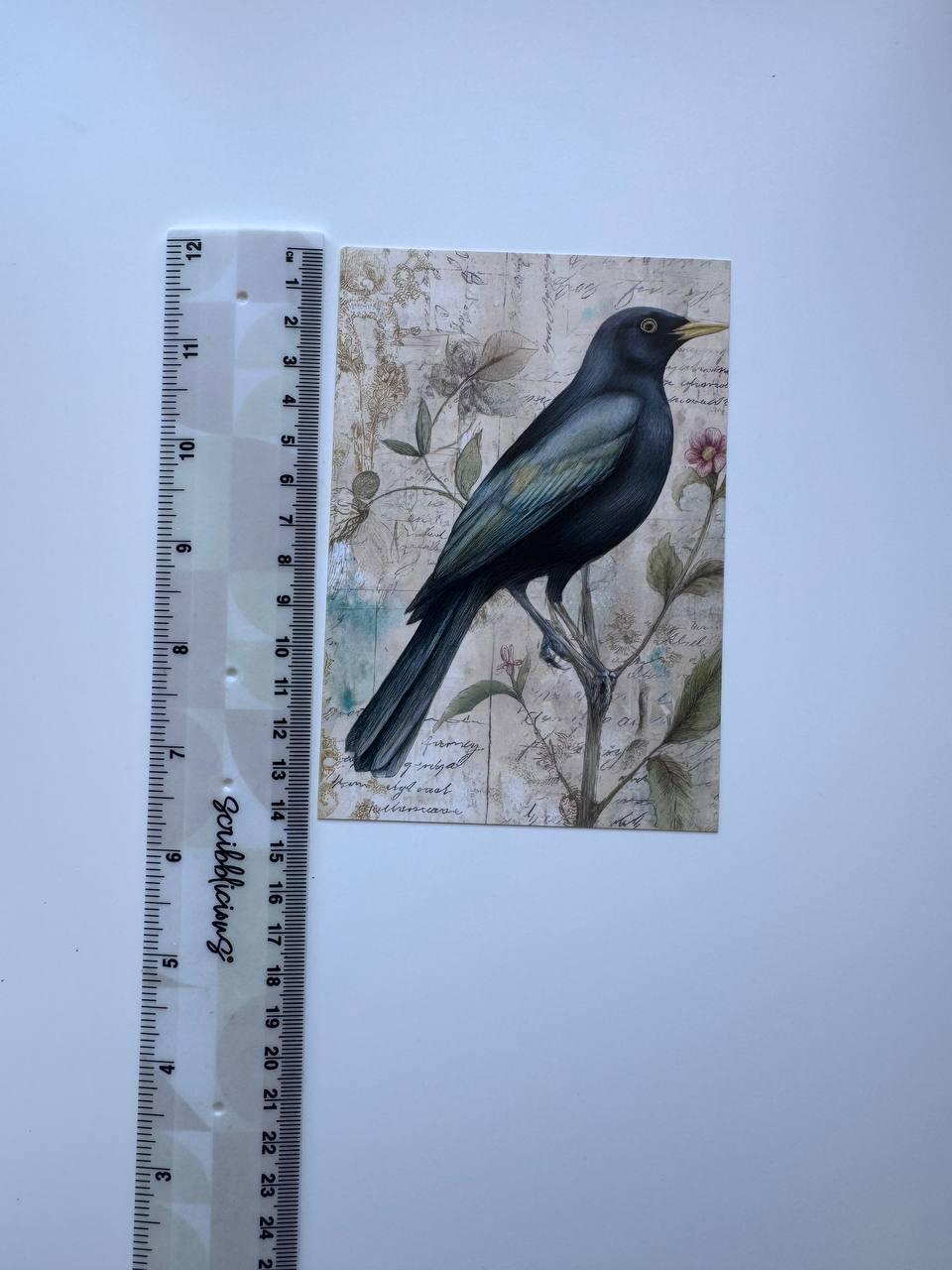 Set of 20 Vintage Bird Postcards 14.5 x 10 cm, Floral Bird Art Cards, Botanical Ephemera, Junk Journal Scrapbooking Supplies