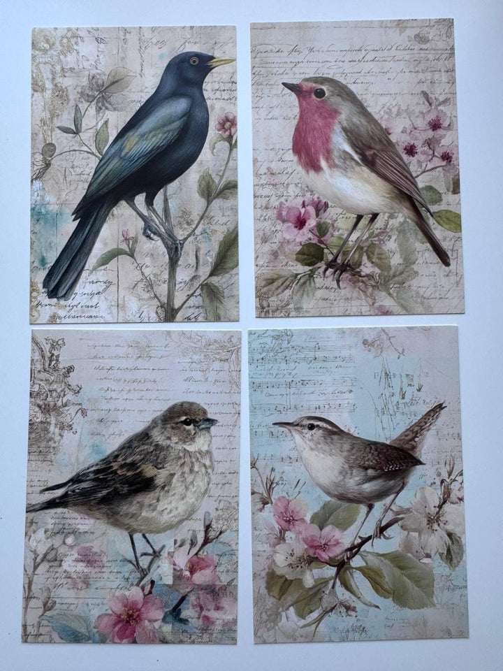 Set of 20 Vintage Bird Postcards 14.5 x 10 cm, Floral Bird Art Cards, Botanical Ephemera, Junk Journal Scrapbooking Supplies