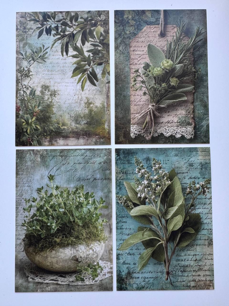Set of 20 Vintage Herb Postcards 14.5 x 10 cm, Botanical Herb Cards, Sage Garden Ephemera, Junk Journal Scrapbooking Supplies