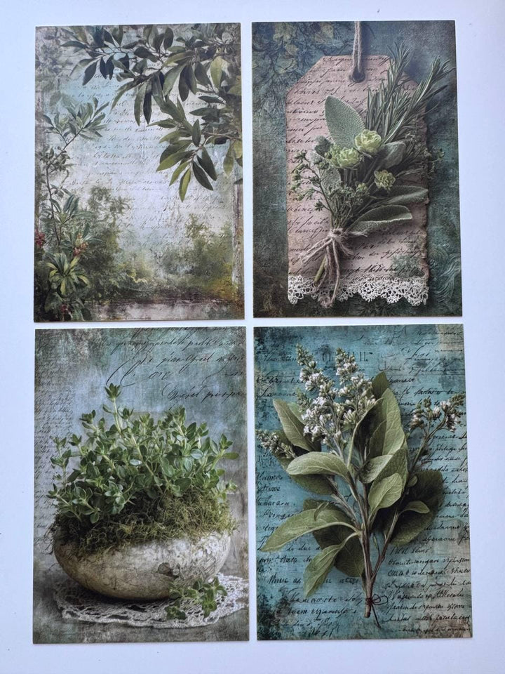 Set of 20 Vintage Herb Postcards 14.5 x 10 cm, Botanical Herb Cards, Sage Garden Ephemera, Junk Journal Scrapbooking Supplies