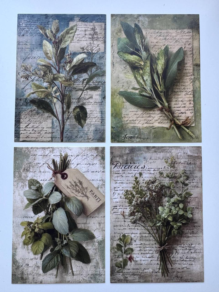 Set of 20 Vintage Herb Postcards 14.5 x 10 cm, Botanical Herb Cards, Sage Garden Ephemera, Junk Journal Scrapbooking Supplies