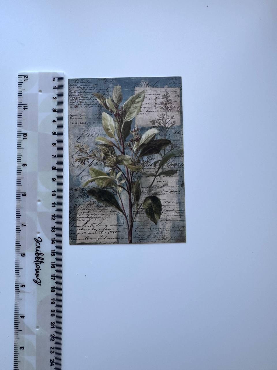Set of 20 Vintage Herb Postcards 14.5 x 10 cm, Botanical Herb Cards, Sage Garden Ephemera, Junk Journal Scrapbooking Supplies