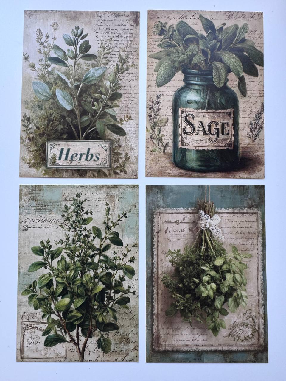 Set of 20 Vintage Herb Postcards 14.5 x 10 cm, Botanical Herb Cards, Sage Garden Ephemera, Junk Journal Scrapbooking Supplies