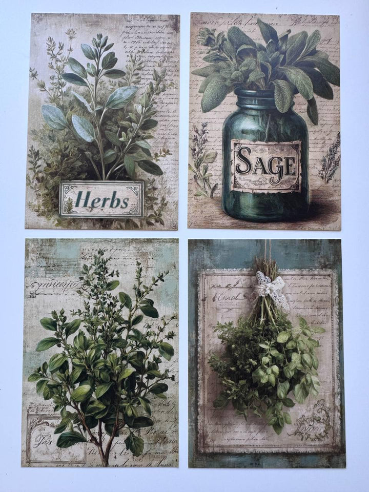 Set of 20 Vintage Herb Postcards 14.5 x 10 cm, Botanical Herb Cards, Sage Garden Ephemera, Junk Journal Scrapbooking Supplies