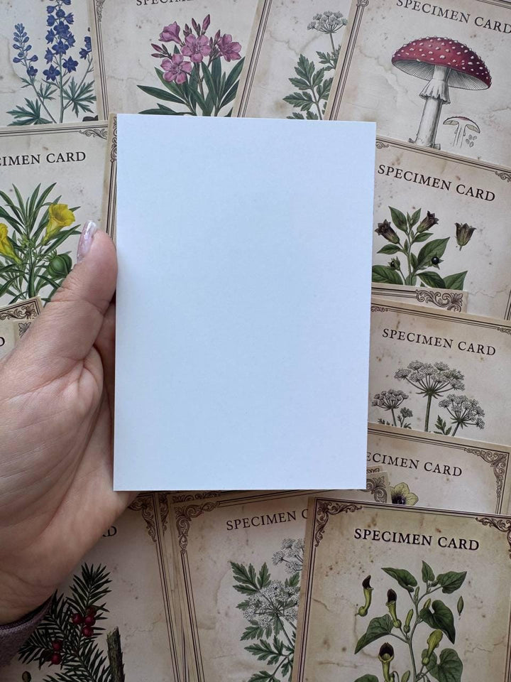 Set of 20 Gothic Botanical Postcards 14.5 x 10 cm, Poison Plant Specimen Cards, Vintage Apothecary Junk Journal Supplies