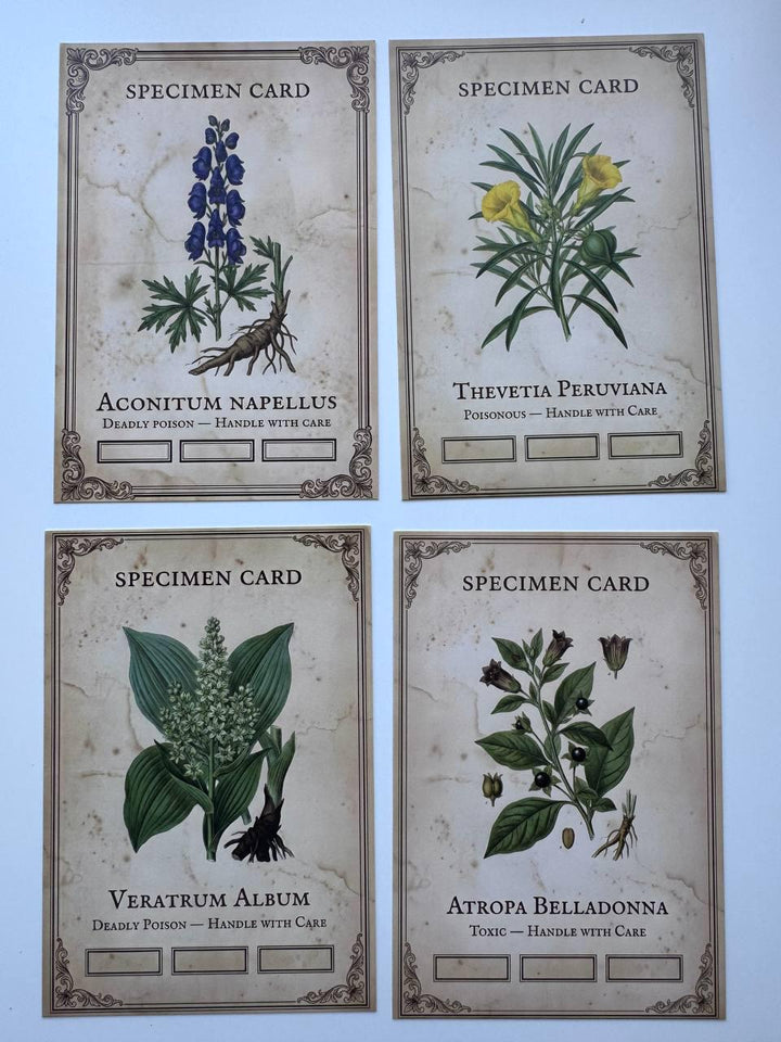 Set of 20 Gothic Botanical Postcards 14.5 x 10 cm, Poison Plant Specimen Cards, Vintage Apothecary Junk Journal Supplies