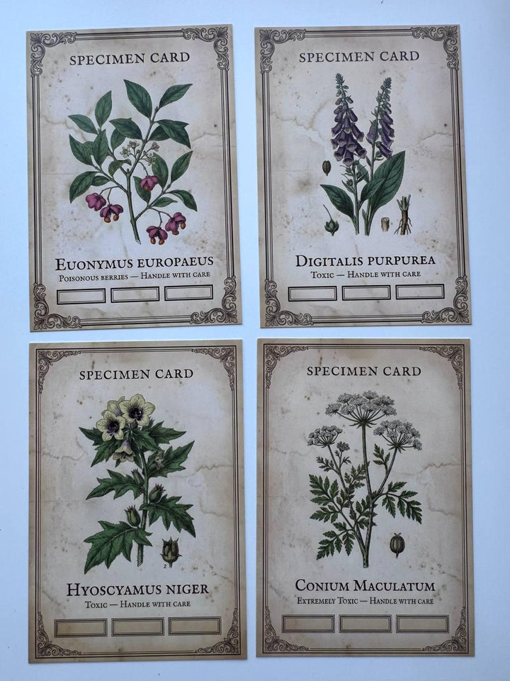 Set of 20 Gothic Botanical Postcards 14.5 x 10 cm, Poison Plant Specimen Cards, Vintage Apothecary Junk Journal Supplies