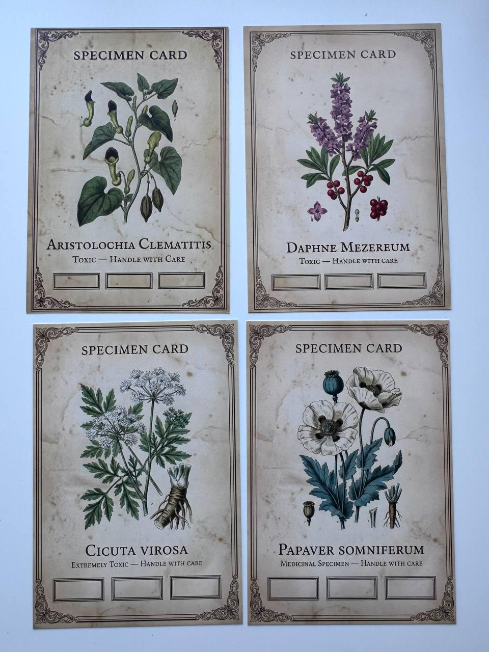 Set of 20 Gothic Botanical Postcards 14.5 x 10 cm, Poison Plant Specimen Cards, Vintage Apothecary Junk Journal Supplies