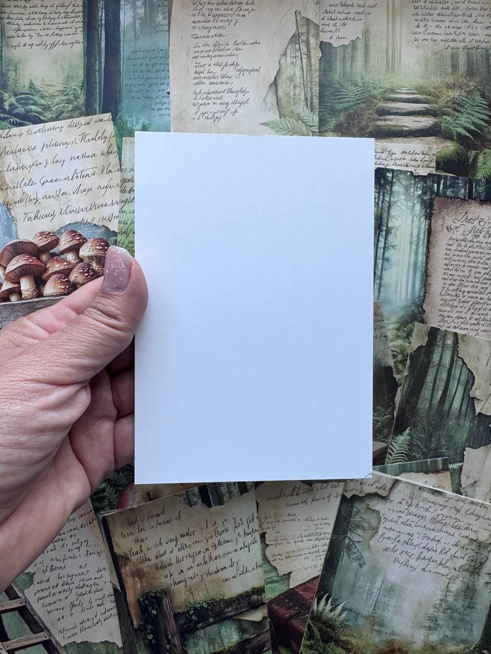 Set of 20 Woodland Forest Postcards 14.5 x 10 cm, Mushroom Botanical Cards, Vintage Nature Ephemera for Junk Journal Scrapbooking