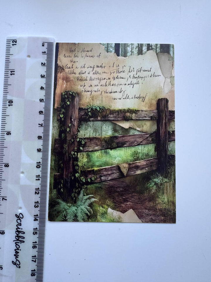 Set of 20 Woodland Forest Postcards 14.5 x 10 cm, Mushroom Botanical Cards, Vintage Nature Ephemera for Junk Journal Scrapbooking
