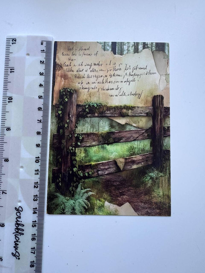 Set of 20 Woodland Forest Postcards 14.5 x 10 cm, Mushroom Botanical Cards, Vintage Nature Ephemera for Junk Journal Scrapbooking