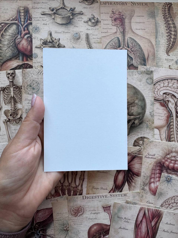 Set of 20 Vintage Anatomy Postcards 14.5 x 10 cm, Medical Illustration Cards, Human Body Ephemera, Junk Journal Scrapbooking Supplies