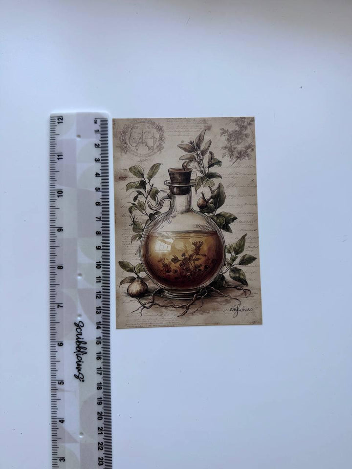 Set of 20 Vintage Apothecary Postcards 14.5 x 10 cm, Potion Bottle Cards, Alchemy Ephemera, Junk Journal Scrapbooking Supplies
