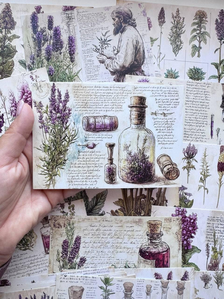 Set of 20 Vintage Botanical Postcards 14.5 x 10 cm, Herb & Lavender Cards, Apothecary Ephemera, Junk Journal Scrapbooking Supplies