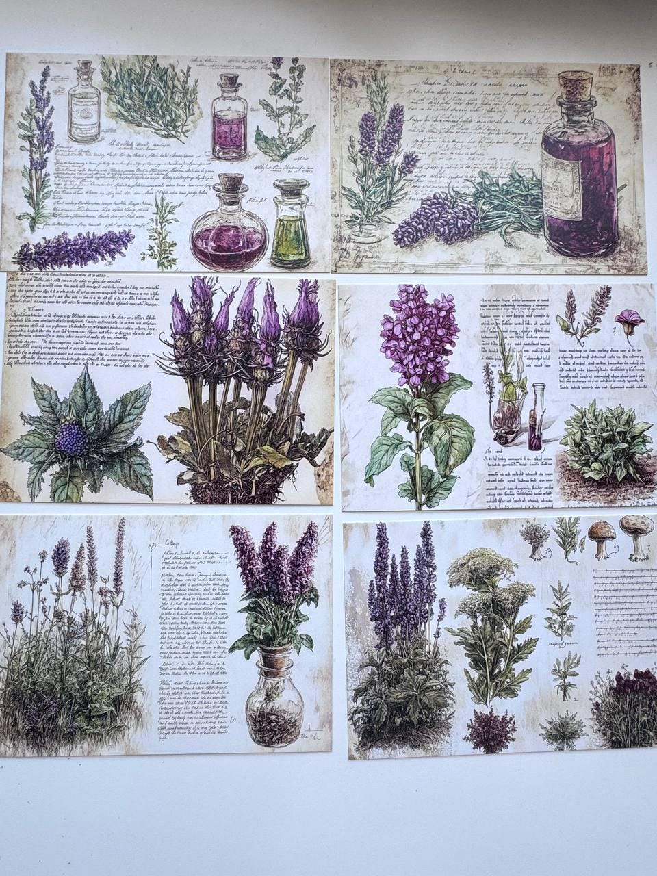 Set of 20 Vintage Botanical Postcards 14.5 x 10 cm, Herb & Lavender Cards, Apothecary Ephemera, Junk Journal Scrapbooking Supplies