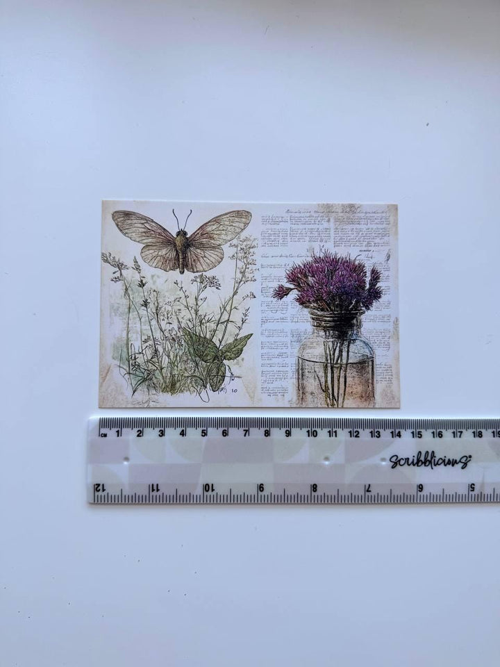 Set of 20 Vintage Botanical Postcards 14.5 x 10 cm, Herb & Lavender Cards, Apothecary Ephemera, Junk Journal Scrapbooking Supplies
