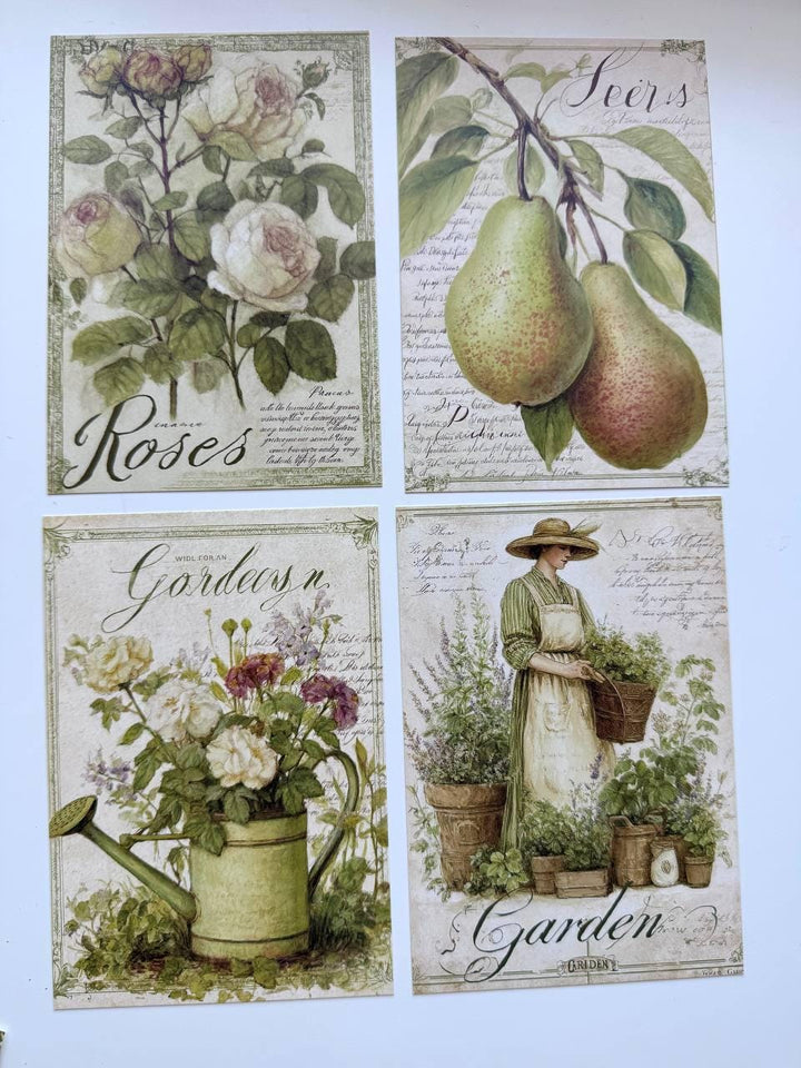 Set of 20 Vintage Garden Postcards 14.5 x 10 cm, Botanical Birds Cat Flowers, Cottagecore Ephemera, Junk Journal Scrapbooking Cards