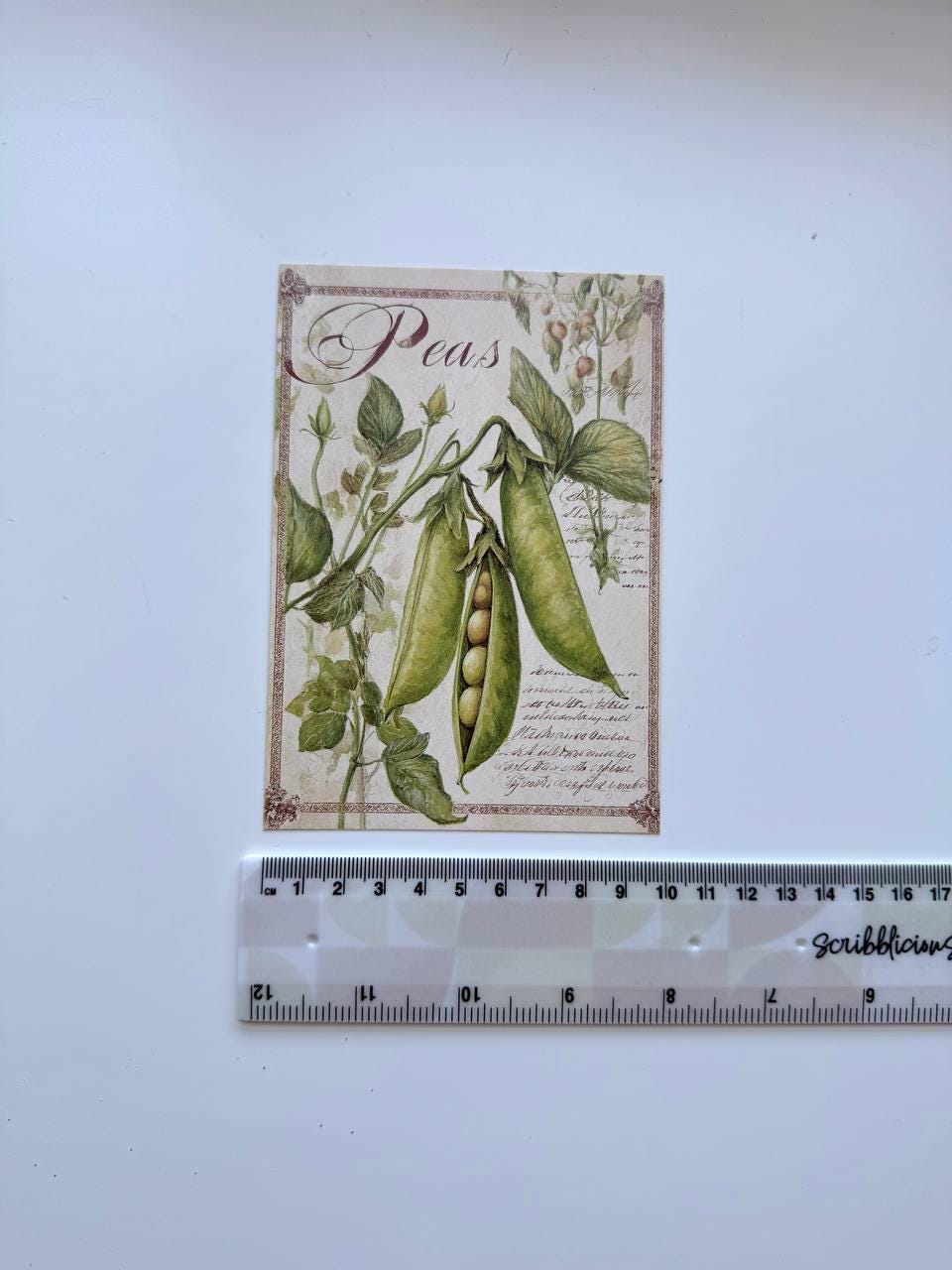 Set of 20 Vintage Garden Postcards 14.5 x 10 cm, Botanical Birds Cat Flowers, Cottagecore Ephemera, Junk Journal Scrapbooking Cards