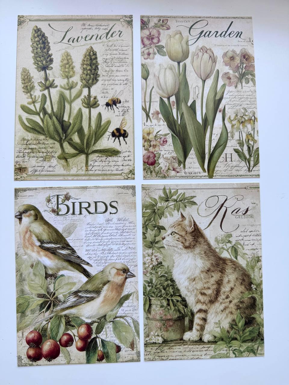 Set of 20 Vintage Garden Postcards 14.5 x 10 cm, Botanical Birds Cat Flowers, Cottagecore Ephemera, Junk Journal Scrapbooking Cards